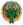 salamanderslogo